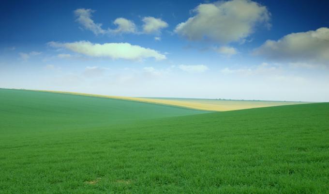 42039-rabstol_net_fields_04